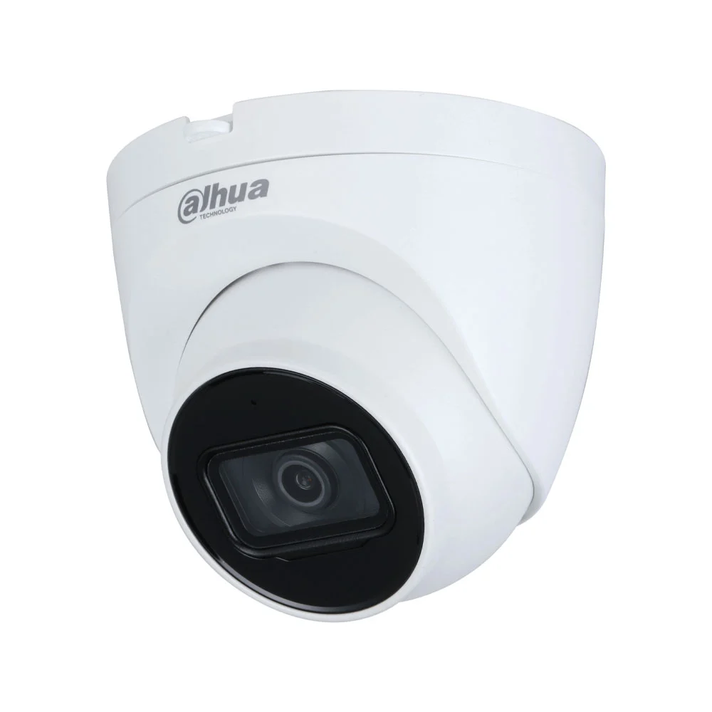 Telecamera IP Eyeball